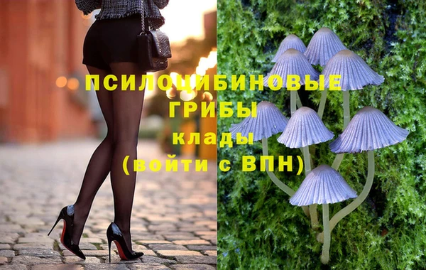 метадон Армянск
