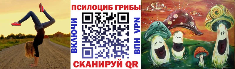 маркетплейс какой сайт  Реутов  Псилоцибиновые грибы Cubensis 